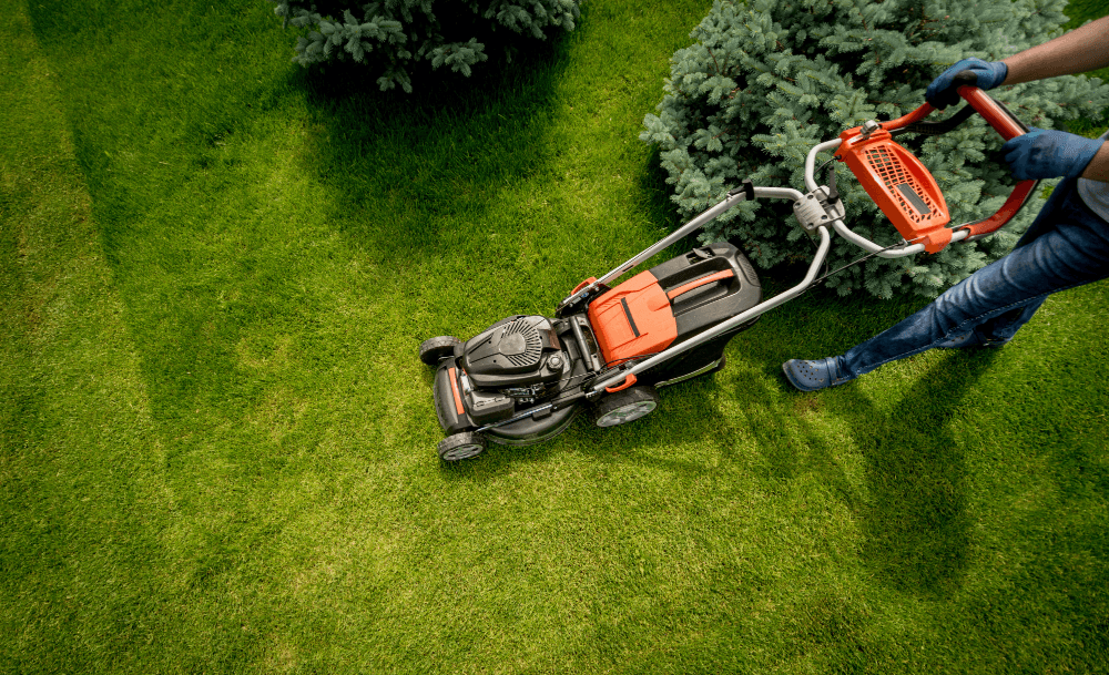 Why Choose Our Lawn Maintenance in Sugar Land?
