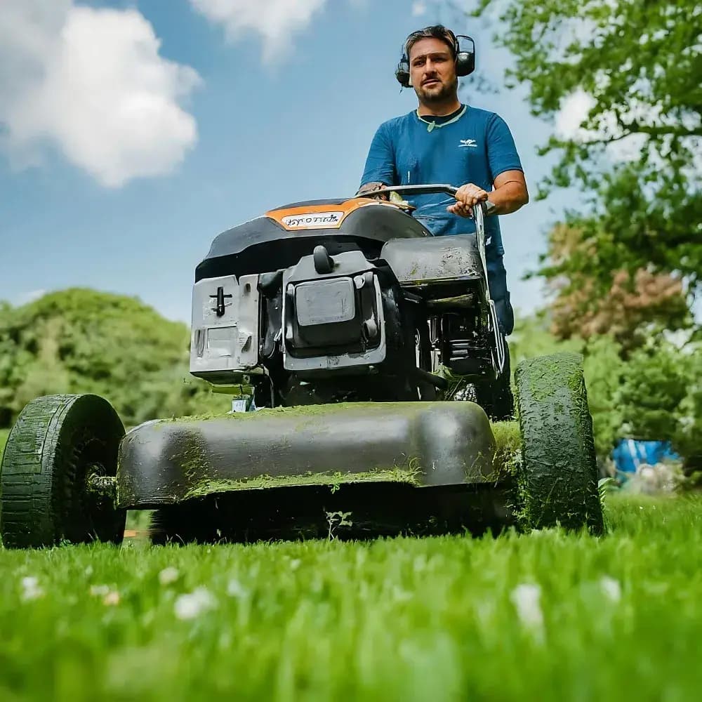 Lawn Maintenance & Mowing service