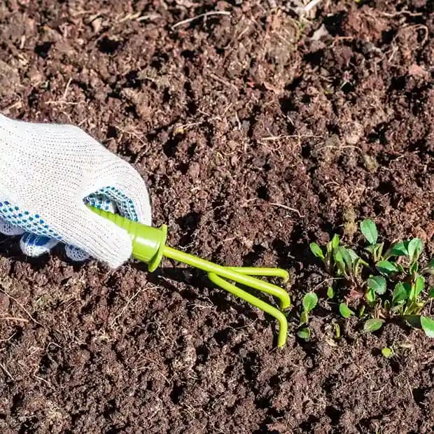 Mulching & Soil Installation service