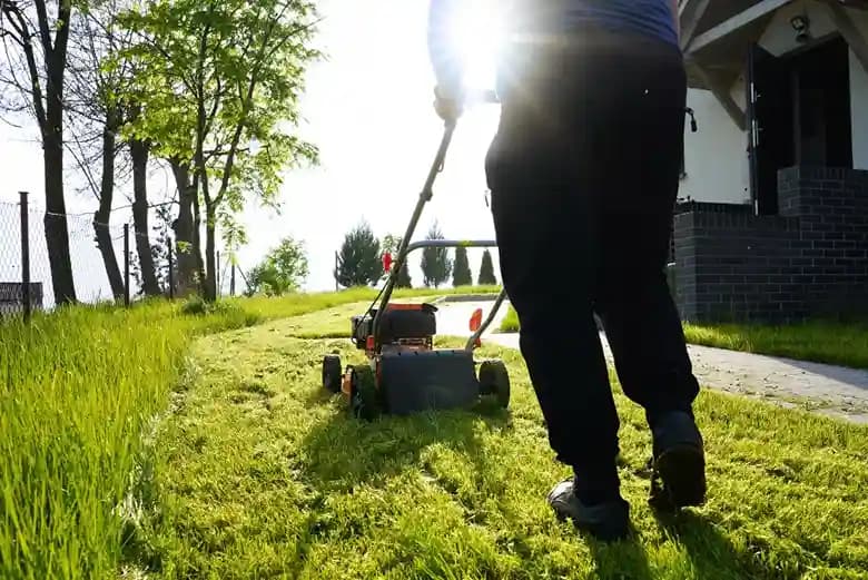 Benefits of Regular Lawn Maintenance & Mowing