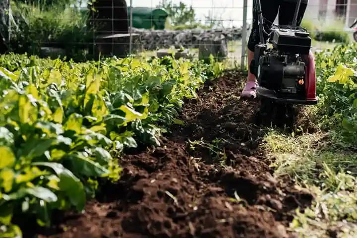 What Makes Us The Top Mulching & Soil Installation Choice in Texas?