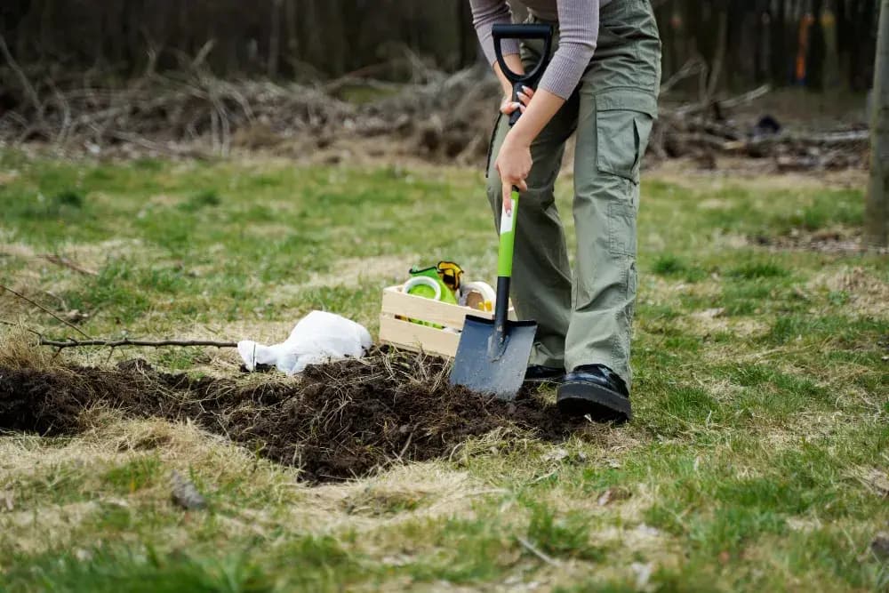 Why Choose Yard Leveling & Grading Services?