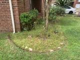 Wooden fence installation