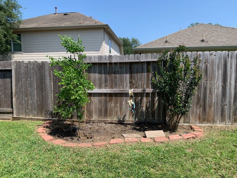 After soil mulching