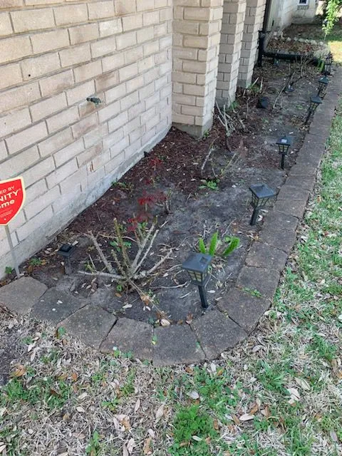 Before soil mulching