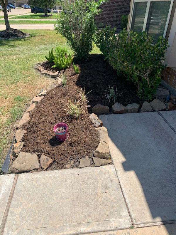 After soil mulching